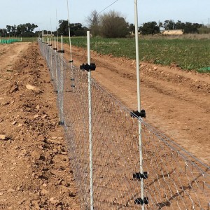 Pastores eléctricos en Albacete