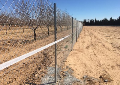 Trajabajos agrícolas